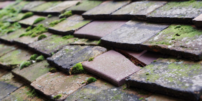 Barway roof repair costs